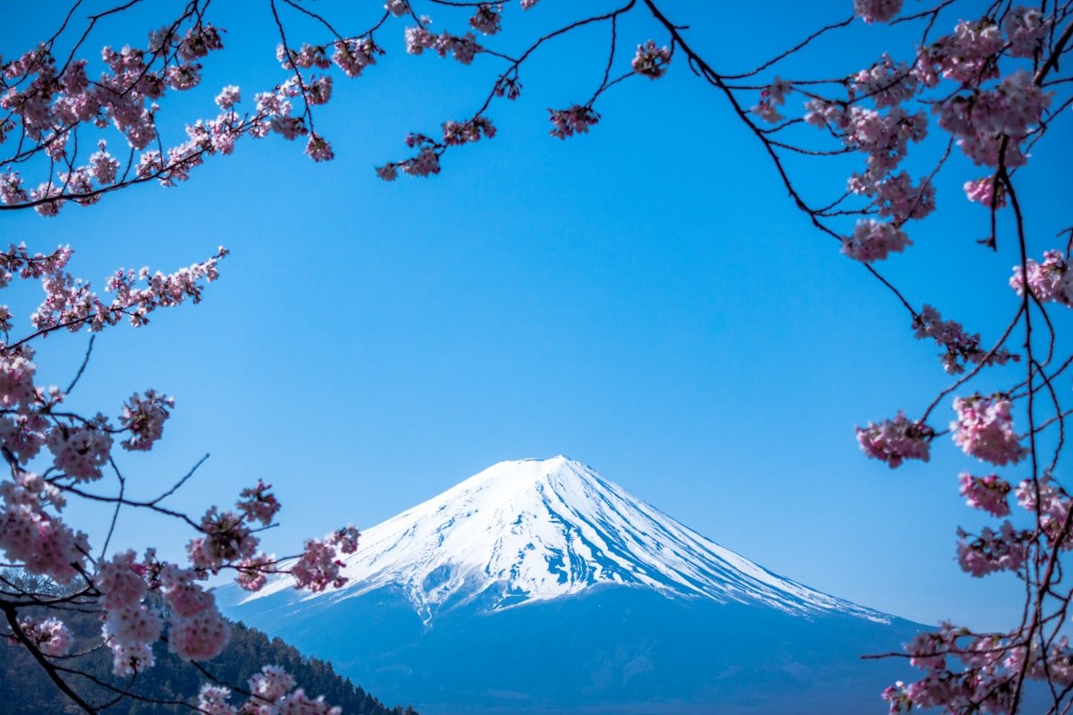 Why Learn Japanese in 2026? Career and Life Benefits